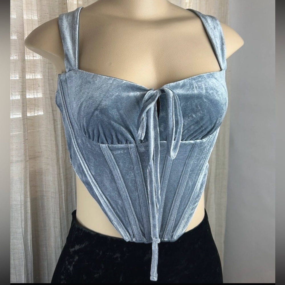 Blue Velvet Corset Top